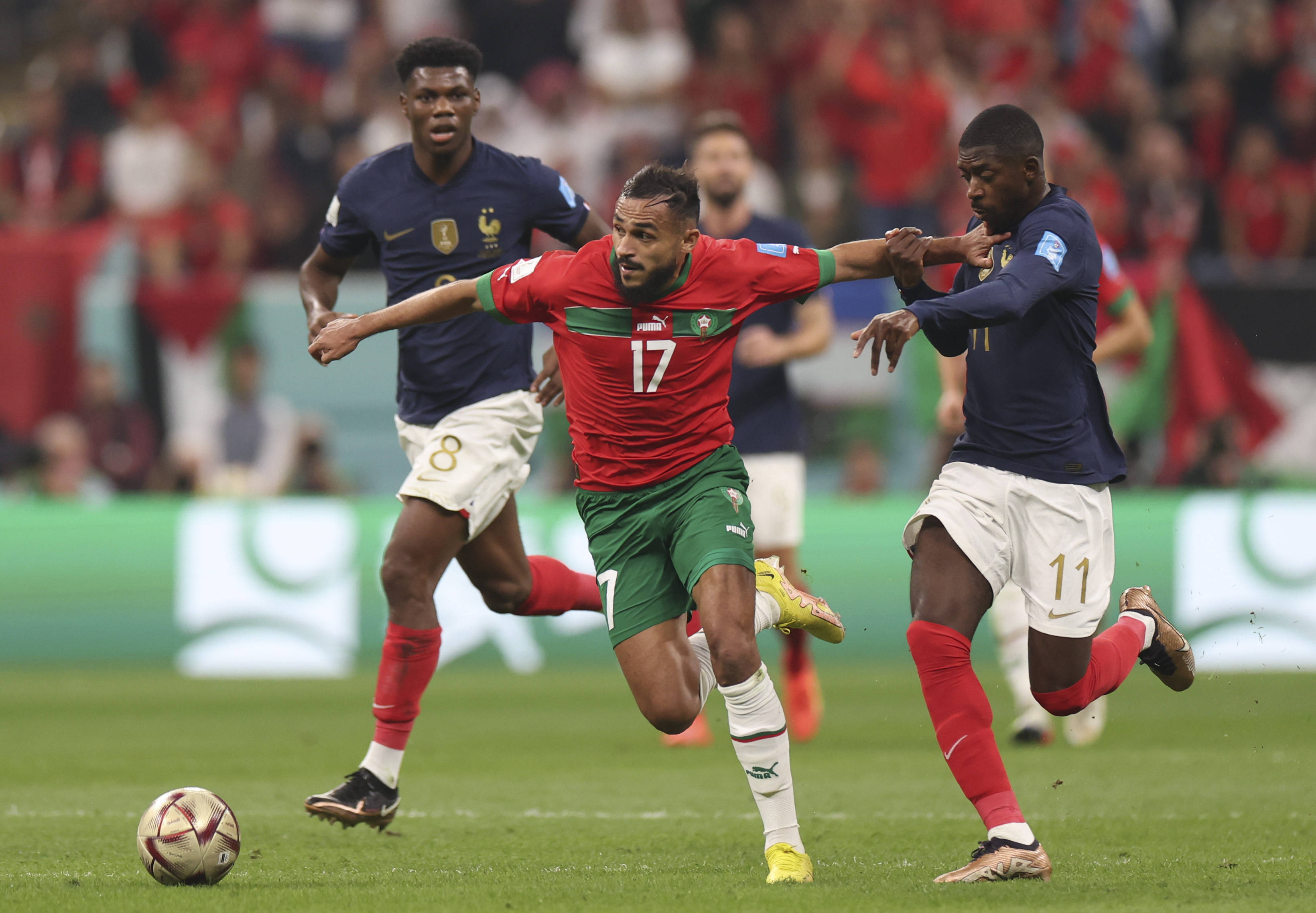 他在法甲 他在法甲